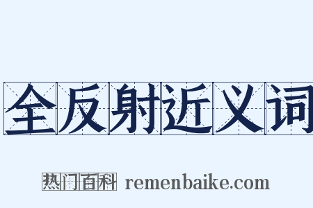 全反射近义词是什么意思的图片